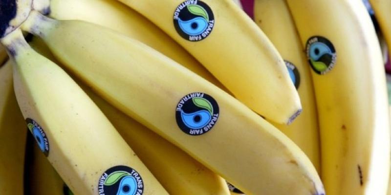 GLOBAL GAP Y COMERCIO JUSTO ENTRE LAS CERTIFICACIONES MÁS DEMANDADAS 