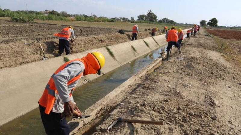 Gobierno Nacional ejecutó S/ 2.556 millones en el sector agropecuario, lo que representa el 81.5% del presupuesto asignado al sector en 2021