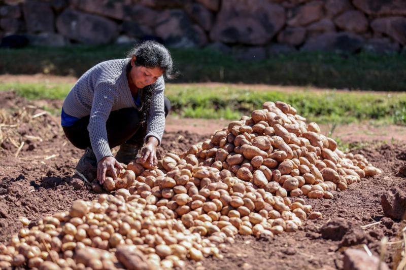 Gobierno promueve el financiamiento, gestión hídrica y planes de negocio para impulsar la agricultura