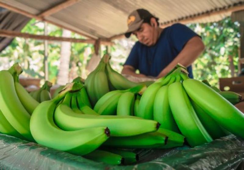 Gobiernos regionales y locales podrán cofinanciar Planes de Negocio de Agroideas