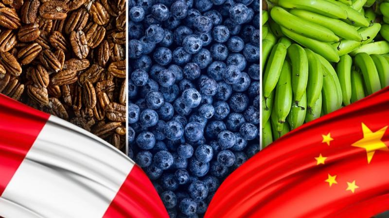 Gracias a Chancay, el agro peruano puede replicar el éxito chileno en China