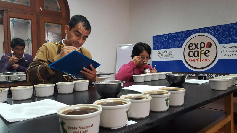 Granos de Cajamarca, Puno y Huánuco entre los clasificados a la etapa final del XII Concurso Nacional de Cafés de Calidad