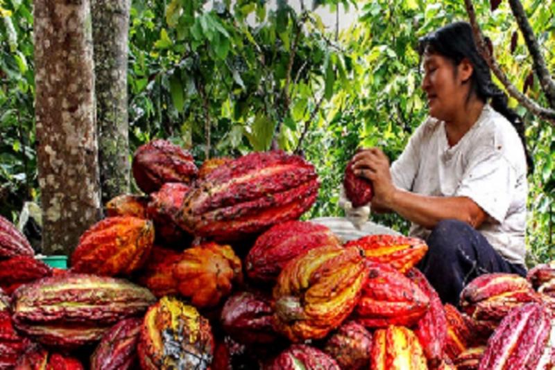 Gremios de agricultores y Comunidades Nativas denuncian no ser escuchados por Comisión de Pueblos Andinos, Ambiente y Ecología del Congreso en informe que les afecta directamente