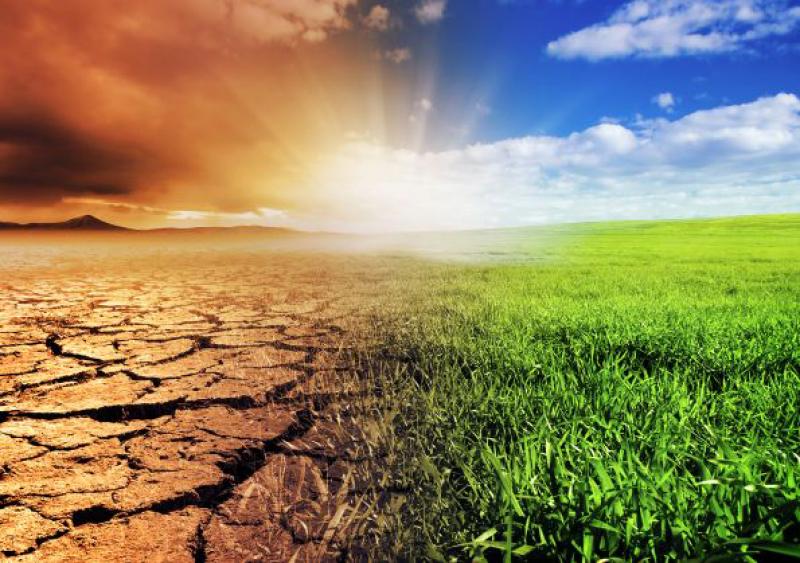 Grupo Banco Mundial financiará proyectos de resiliencia y adaptación al cambio climático