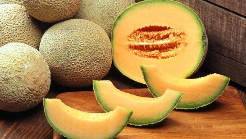 Guatemala se consolidó como mayor exportador mundial de melón por volumen en 2024