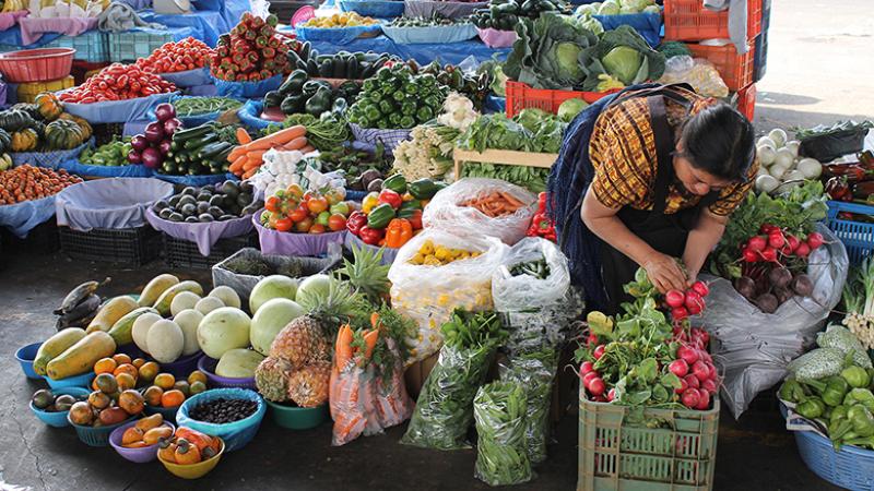 ¿Hambruna después de la pandemia?