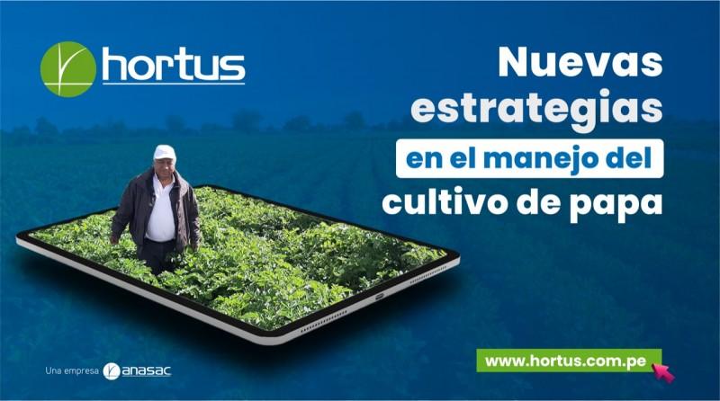 Hortus cuenta con portafolio completo de productos fitosanitarios y nutricionales específicos para el cultivo de papa en Perú
