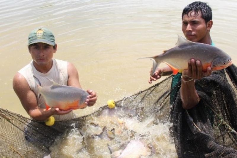 HOY COMIENZA EL PRIMER CENSO DE PESCA CONTINENTAL 