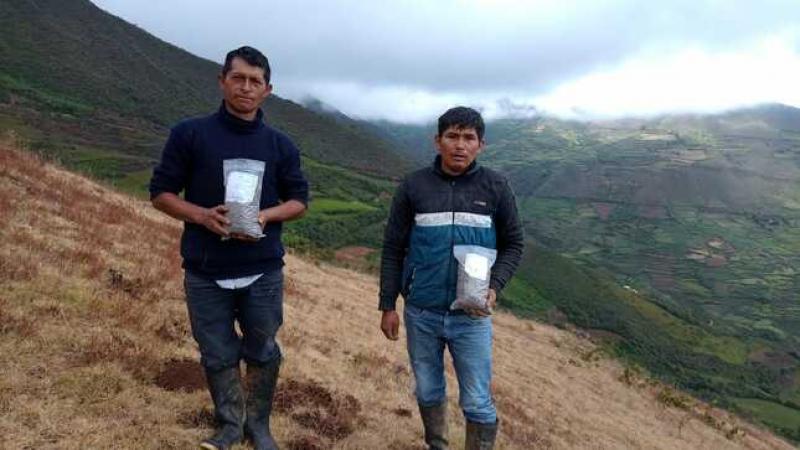 Huánuco: transfieren tecnologías para conservar calidad del suelo agrario en cultivos de papa de la provincia de Ambo