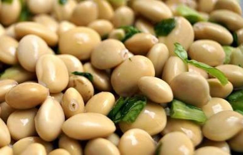 Ica cultiva el 72% del total del área de pallares en Perú