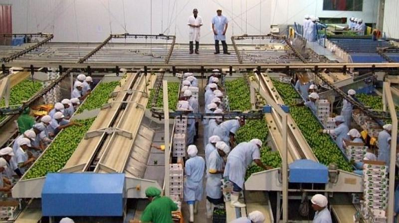 ICA LIDERÓ LA EXPORTACIÓN DE FRUTAS FRESCAS Y SECAS POR REGIONES