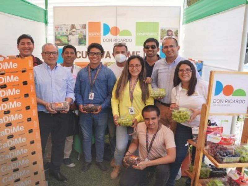 Ica proyecta exportar 265.000 toneladas de uva de mesa en la campaña 2022-2023