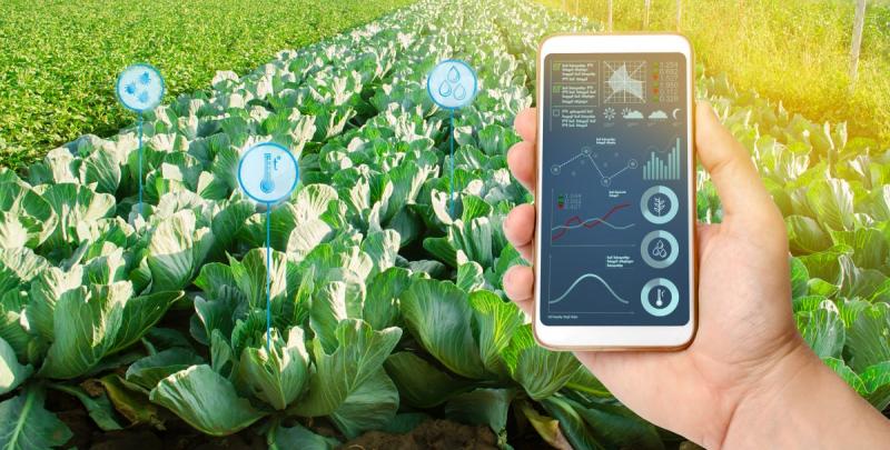 IICA lanza convocatoria a startups que ofrezcan soluciones digitales para la agricultura de América Latina y el Caribe