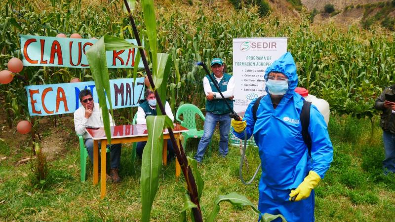 Implementarán laboratorio de controladores biológicos para fortalecer actividad agropecuaria en Áncash