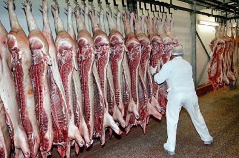 IMPORTACIÓN DE CARNE DE CERDO CRECIÓ 25% EN EL PRIMER SEMESTRE DEL AÑO