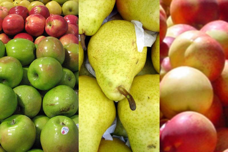 IMPORTACIÓN DE MANZANA, PERA Y DURAZNO DESDE CHILE SUMÓ US$ 37,9 MILLONES