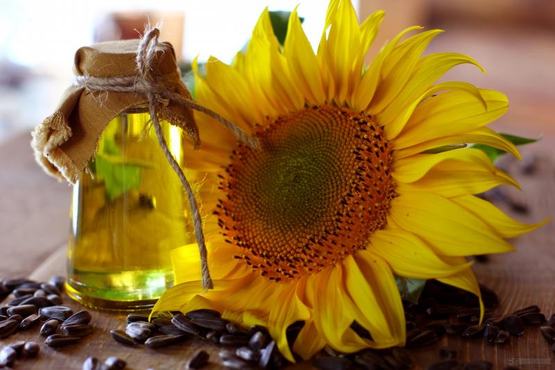 Importaciones de aceite de girasol llegaron a valores de US$ 2.5 millones en el primer semestre