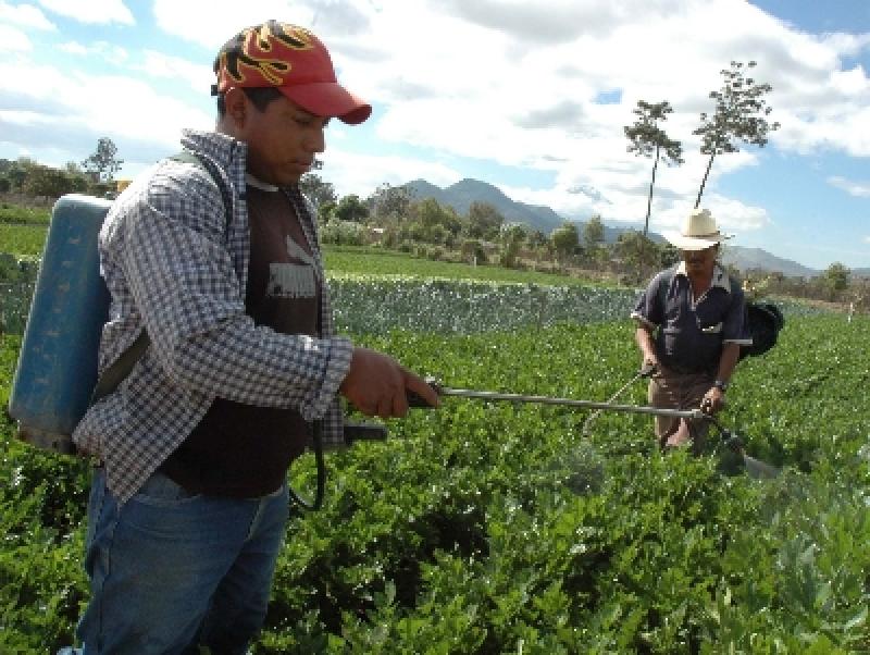 IMPORTACIONES DE FERTILIZANTES SIGUEN CRECIENDO