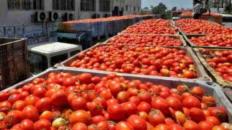 IMPORTACIONES DE LA U.E. PROCEDENTES DE TERCEROS PAÍSES CRECIERON EN VALOR 12%