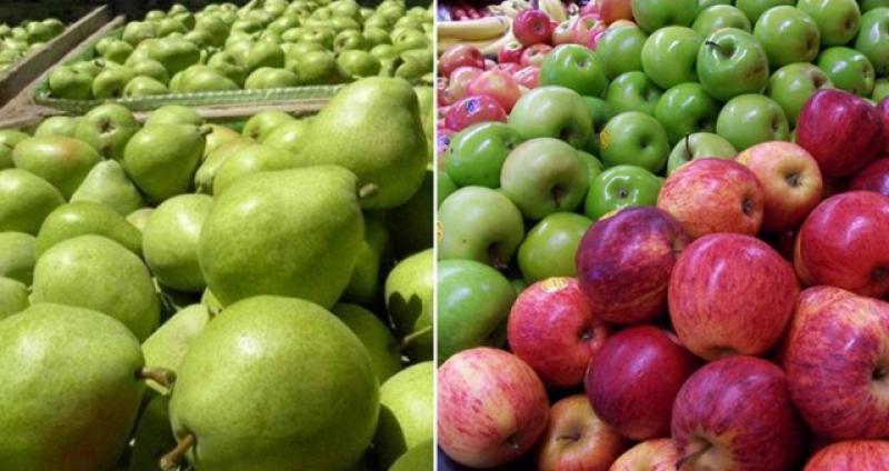 IMPORTACIONES DE MANZANAS SUMARON US$ 31 MILLONES