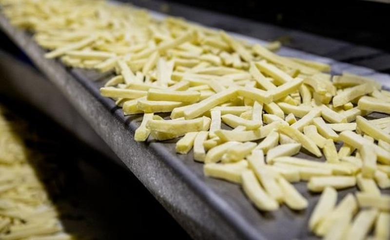 Importaciones de papas prefritas cerraron el 2018 en valores de casi US$ 26 millones