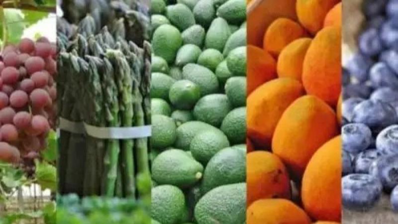 Impulsan apertura de nuevos mercados para frutas y hortalizas peruanas