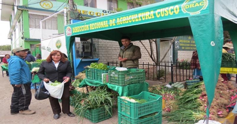 IMPULSAN DESARROLLO ECONÓMICO DE PRODUCTORES DE “HORTALIZAS ORGÁNICAS”