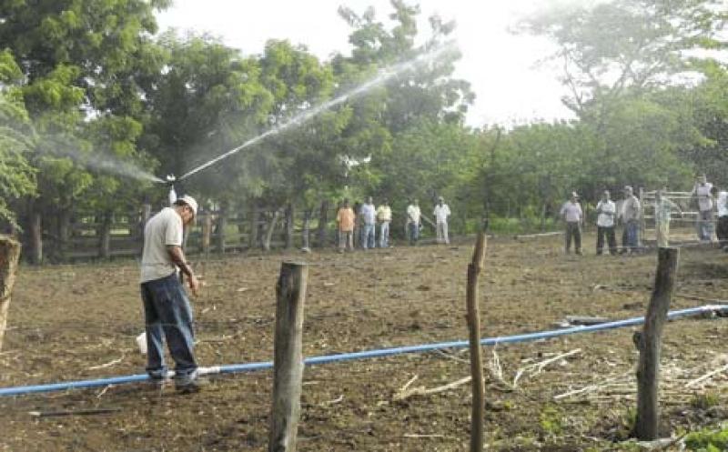 IMPULSAN PROYECTOS DE IRRIGACIÓN EN OXAPAMPA POR SEQUÍAS