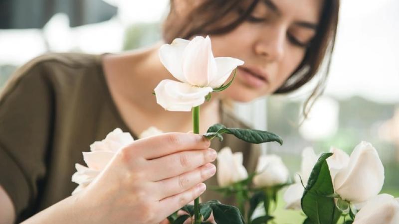 Inacal aprueba requisitos de calidad de rosas para mejorar su comercialización