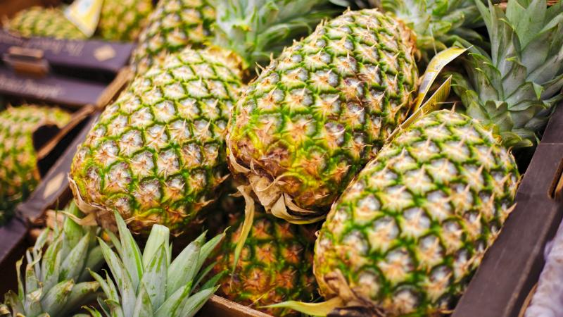 Inacal brinda requisitos de calidad de la piña para incrementar su oferta comercial