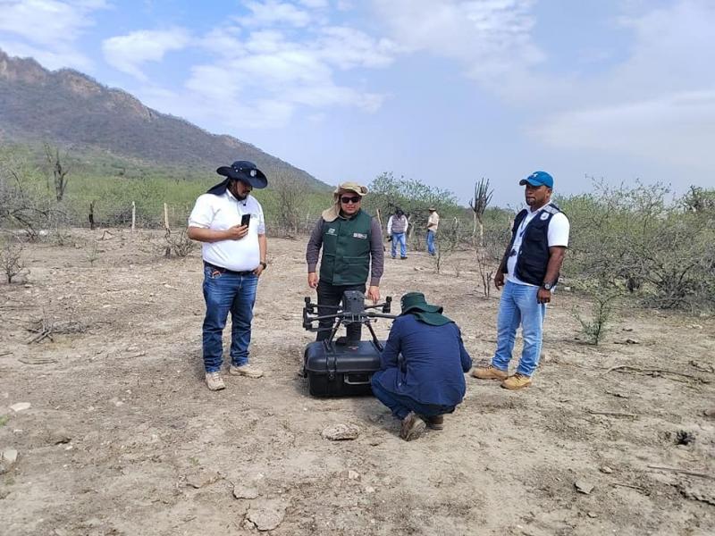 INIA aplica técnicas modernas para el estudio de la genética del algarrobo en la región de Piura