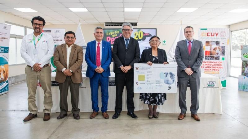 INIA conmemora 20 años de la liberación de la primera raza de cuyes con alta calidad genética