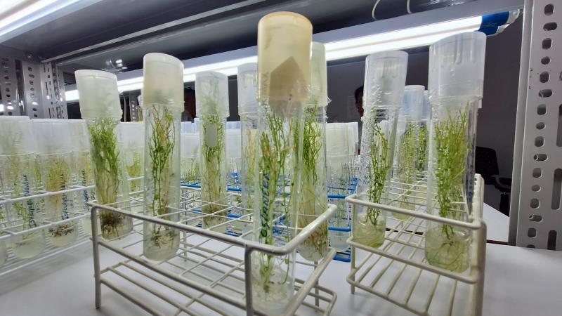 INIA impulsa la productividad y sostenibilidad de pequeños y medianos agricultores del país