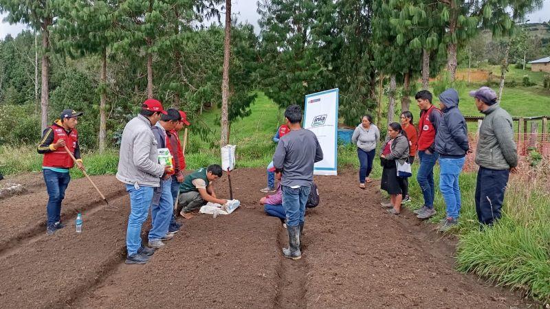 INIA instala parcela demostrativa para mejorar calidad y rendimiento de la alfalfa en Amazonas
