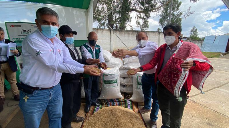 INIA presenta nueva avena forrajera KATEKYL que incrementará rentabilidad económica de productores