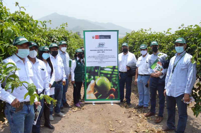 INIA y ADEX aúnan esfuerzos para fortalecer cadena del cultivo de maracuyá