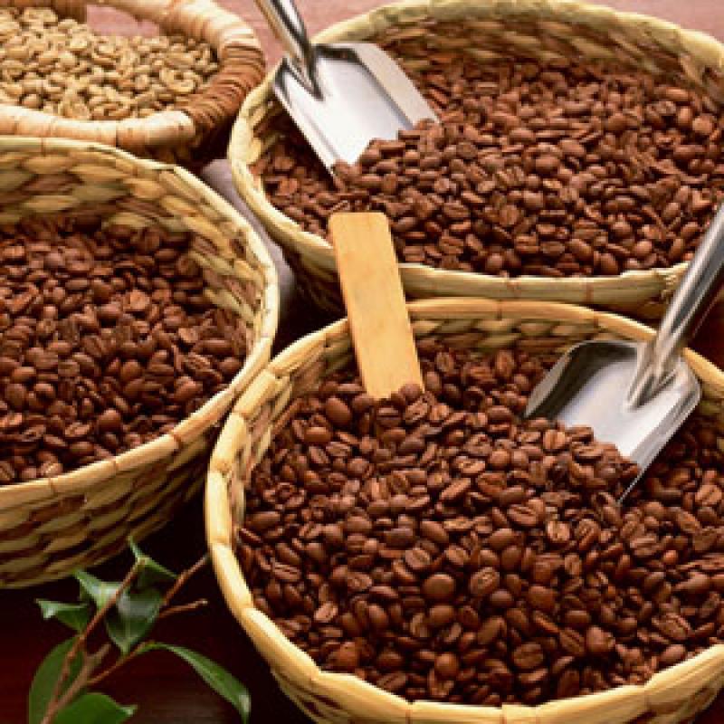 INICIAN ETAPA REGIONAL DEL IX CONCURSO NACIONAL DE CAFÉ DE CALIDAD