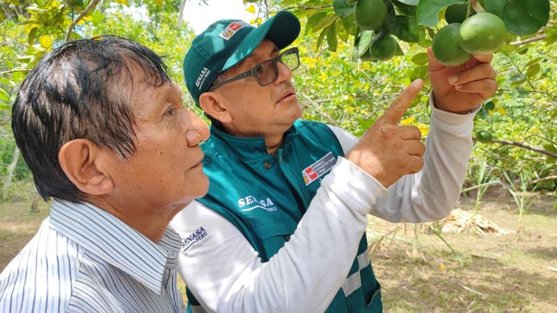 Inocuidad de los alimentos contribuye a la seguridad alimentaria del país