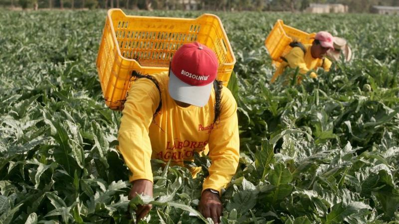 Inseguridad golpea al agro y empeora la crisis