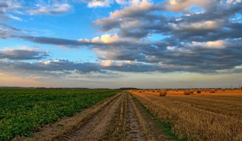 Inversión extranjera en sector agropecuario de Colombia aumentó 32% a septiembre