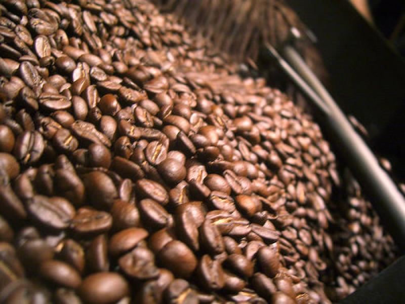 ITALIA, POTENCIAL MERCADO DE PRODUCTOS ORGÁNICOS Y SOFISTICADOS PERUANOS