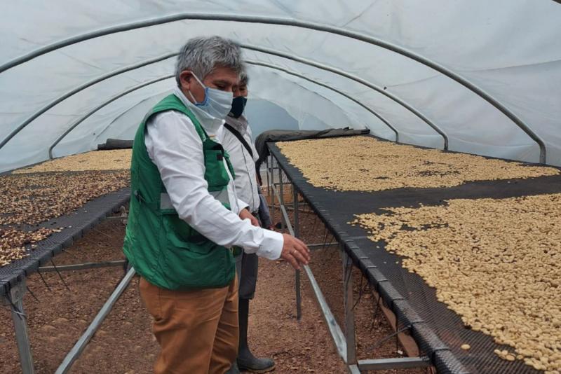 Junín: cafetaleros de Chanchamayo participan en mesa informativa para mejorar producción