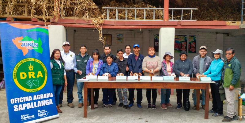 Junín: fortalecen cadena productiva del cuy a través del proyecto de servicios agrarios