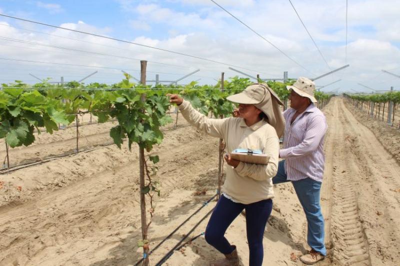 “La agroindustria fue un sector que la banca no quiso”