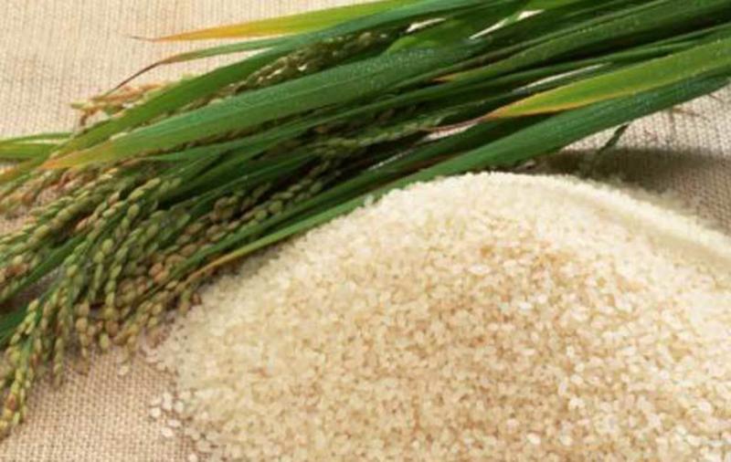 La Libertad: Feria del Arroz analizará problemática del sector