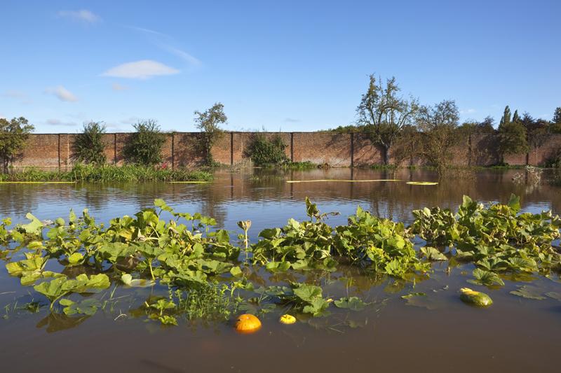 “La Niña” afectará la producción y los precios mundiales de alimentos