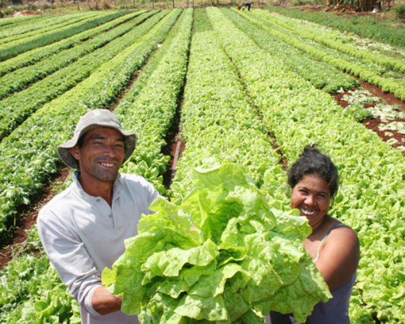 LA NUEVA GENERACIÓN DE AGROEXPORTADORES PISA FUERTE 