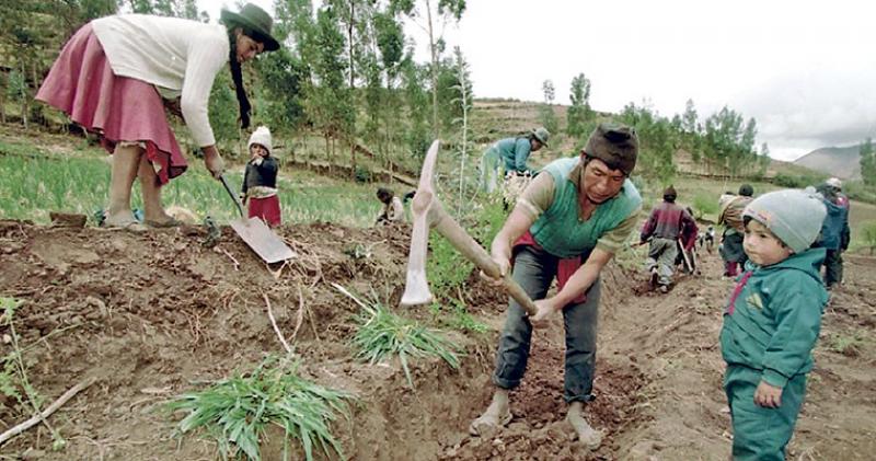 La pobreza rural crece en Latinoamérica por primera vez en 10 años