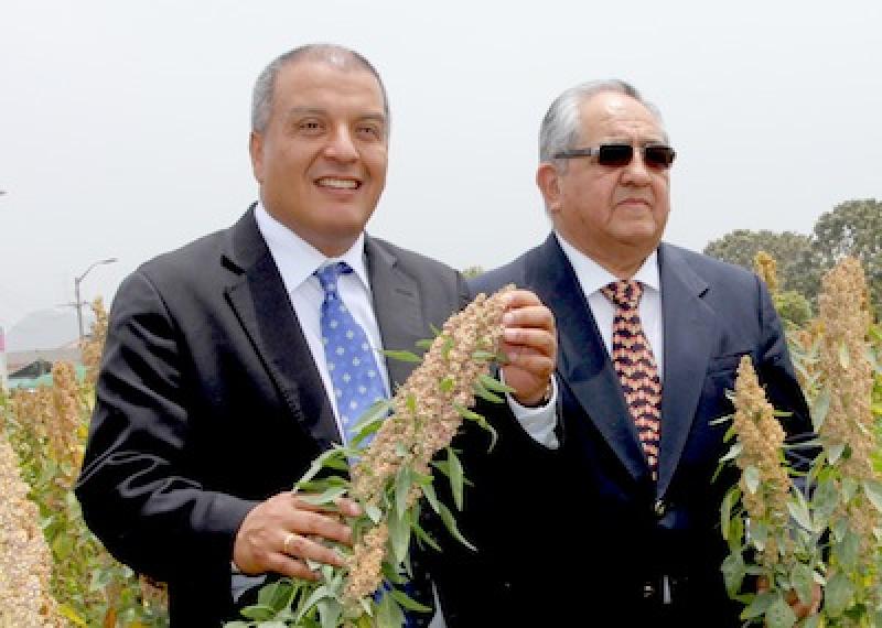 LA PRÓXIMA SEMANA INAUGURARÍAN EL CENTRO NACIONAL DE LA QUINUA EN PUNO