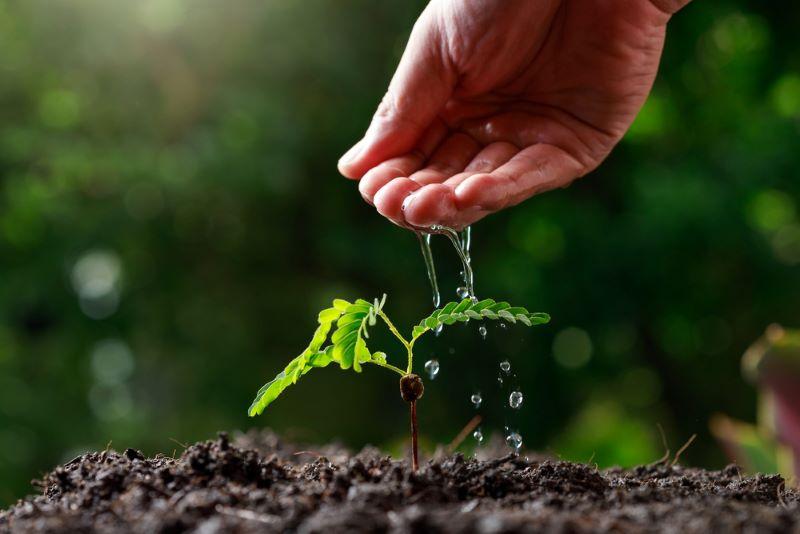 La sequía severa quedo atrás y se esperan condiciones más propicias para la producción en distintos territorios de Sudamérica